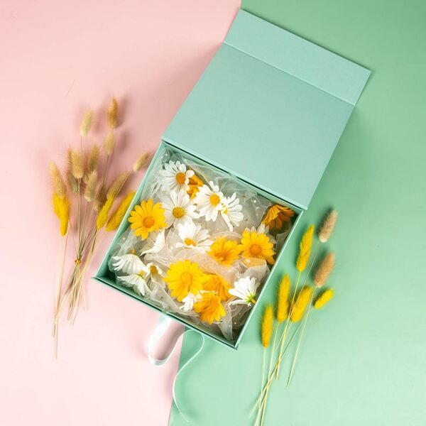 collapsible-boxes-1.webp